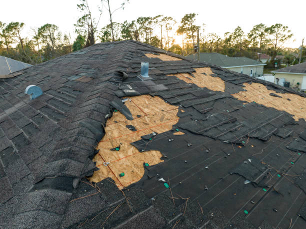 Best Roof Insulation Installation  in Lexington Park, MD