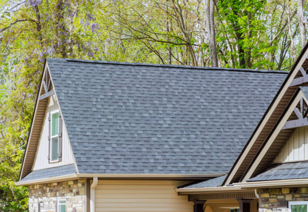 Best Steel Roofing  in Lexington Park, MD
