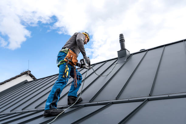 Best Roof Maintenance and Cleaning  in Lexington Park, MD